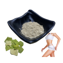 Herbal Extract Weight Loss Powder Lotus Leaf Extract Nuciferine 50% Used on Slimming Products